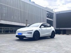 Tesla Model Y Long Range All-Wheel Drive - ფოტო 1