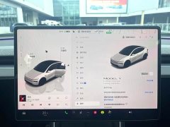 Tesla Model Y Long Range All-Wheel Drive - ფოტო 14