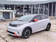 BYD Dolphin 405km Fashion Edition - ფოტო 1
