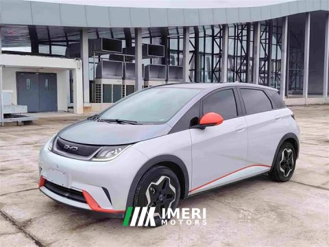 2021 BYD Dolphin 405km Fashion Edition - ავტომობილი ჩინეთიდან