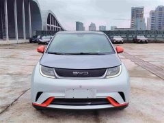 BYD Dolphin 405km Fashion Edition - ფოტო 2