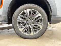 Maxus Territory 2.0T Rampage Flagship 6-Seater - ფოტო 20