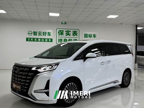 2024 Denza BYD Denza D9 2023 DM-i 965 Premium Edition - ავტომობილი ჩინეთიდან