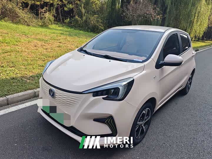 Changan Benben E-Star 2022 Pure Heart Edition Multicolor LFP - ავტომობილი ჩინეთიდან