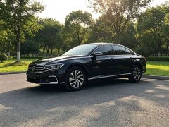 Volkswagen Magotan PHEV GTE Luxury - ფოტო 3