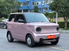 Geely Panda 2023 Panda Mini 200km Endurance Edition - ფოტო 1