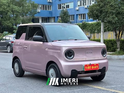 2024 Geely Panda 2023 Panda Mini 200km Endurance Edition - ავტომობილი ჩინეთიდან