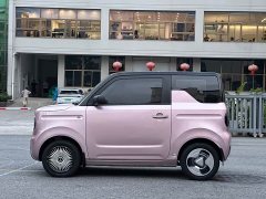 Geely Panda 2023 Panda Mini 200km Endurance Edition - ფოტო 4