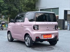 Geely Panda 2023 Panda Mini 200km Endurance Edition - ფოტო 5