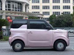 Geely Panda 2023 Panda Mini 200km Endurance Edition - ფოტო 8