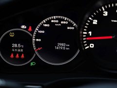 Porsche Panamera 2.9T Platinum Edition - ფოტო 19