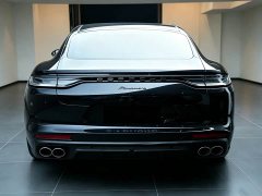 Porsche Panamera 2.9T Platinum Edition - ფოტო 4