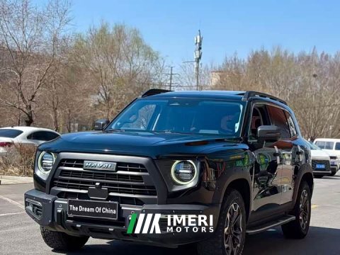 2022 Great Wall Dachshund 2.0T DCT Four-Wheel Drive Howling Celestial Dog Hunting Edition - ავტომობილი ჩინეთიდან