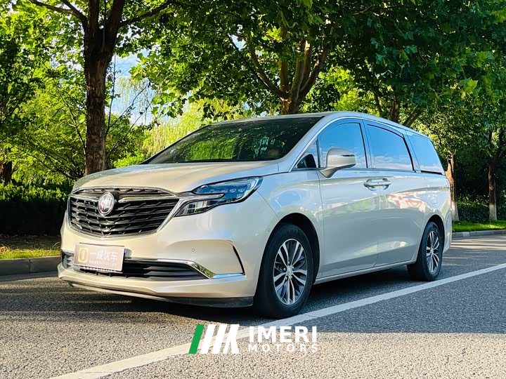 Buick GL8 ES Land Respect 653T Respect Enjoyment Edition