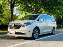Buick GL8 ES Land Respect 653T Respect Enjoyment Edition - ფოტო 1