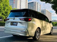 Buick GL8 ES Land Respect 653T Respect Enjoyment Edition - ფოტო 4