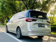 Buick GL8 ES Land Respect 653T Respect Enjoyment Edition - ფოტო 6