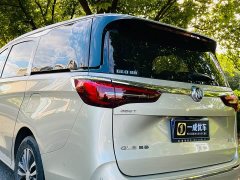 Buick GL8 ES Land Respect 653T Respect Enjoyment Edition - ფოტო 8