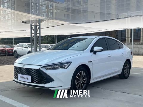 2024 BYD Qin PLUS 2023 Champion Edition DM-i 55KM Leading - ავტომობილი ჩინეთიდან