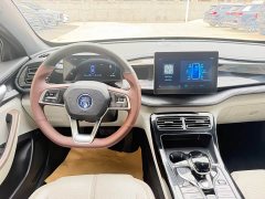 BYD Qin PLUS 2023 Champion Edition DM-i 55KM Leading - ფოტო 10