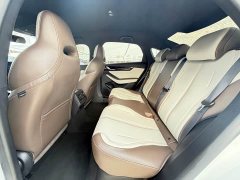 BYD Qin PLUS 2023 Champion Edition DM-i 55KM Leading - ფოტო 8