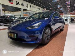 Tesla Model 3 Standard Range RWD Upgrade - ფოტო 1