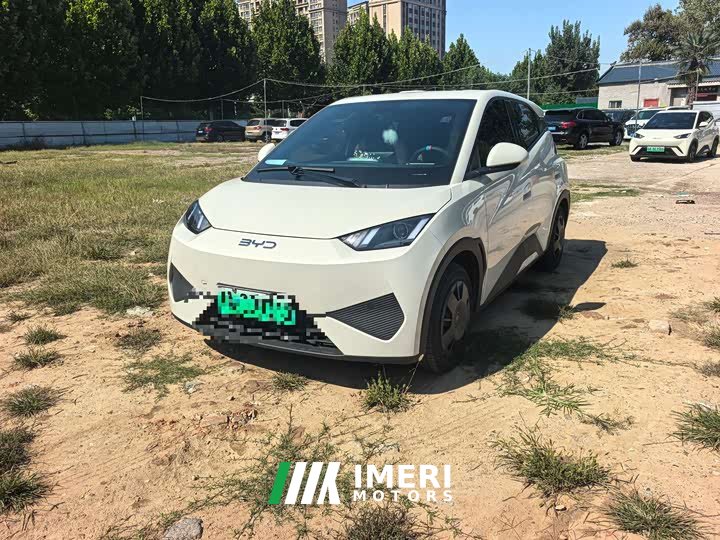 BYD Seagull Smart Drive 305km Vitality Edition