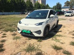 BYD Seagull Smart Drive 305km Vitality Edition - ფოტო 1