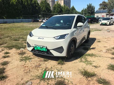 2025 BYD Seagull Smart Drive 305km Vitality Edition - ავტომობილი ჩინეთიდან