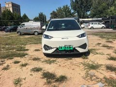 BYD Seagull Smart Drive 305km Vitality Edition - ფოტო 3