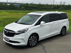 Buick GL8 ES Land Respect 653T Luxury - ფოტო 1