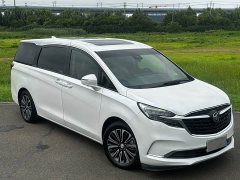Buick GL8 ES Land Respect 653T Luxury - ფოტო 15