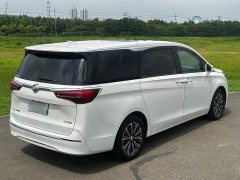 Buick GL8 ES Land Respect 653T Luxury - ფოტო 17