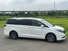 Buick GL8 ES Land Respect 653T Luxury - ფოტო 18