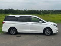 Buick GL8 ES Land Respect 653T Luxury - ფოტო 19