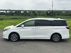 Buick GL8 ES Land Respect 653T Luxury - ფოტო 3