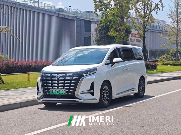 Denza BYD Denza D9 DM-i 1050 Premium - ავტომობილი ჩინეთიდან