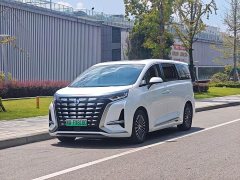 Denza BYD Denza D9 DM-i 1050 Premium - ფოტო 1
