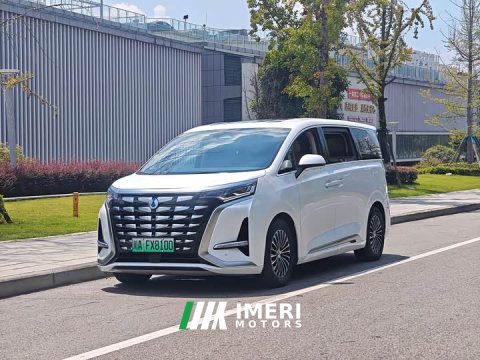 2024 Denza BYD Denza D9 DM-i 1050 Premium - ავტომობილი ჩინეთიდან