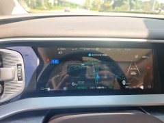 Denza BYD Denza D9 DM-i 1050 Premium - ფოტო 16