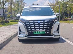 Denza BYD Denza D9 DM-i 1050 Premium - ფოტო 2