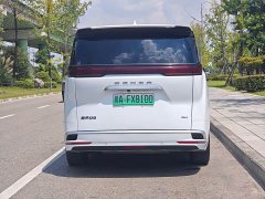 Denza BYD Denza D9 DM-i 1050 Premium - ფოტო 7