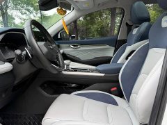 Geely Xingrui 2.0T Diesel Flagship - ფოტო 5