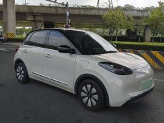 Wuling Binguo 333km Lingxi Premium Edition - ფოტო 5