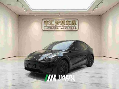 2024 Tesla Model Y Rear-Wheel Drive - ავტომობილი ჩინეთიდან