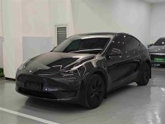 Tesla Model Y Rear-Wheel Drive - ფოტო 2