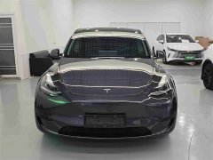 Tesla Model Y Rear-Wheel Drive - ფოტო 3