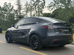Tesla Model Y Rear-Wheel Drive - ფოტო 11