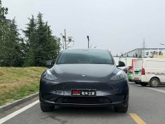 Tesla Model Y Rear-Wheel Drive - ფოტო 2