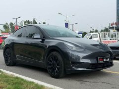 Tesla Model Y Rear-Wheel Drive - ფოტო 3